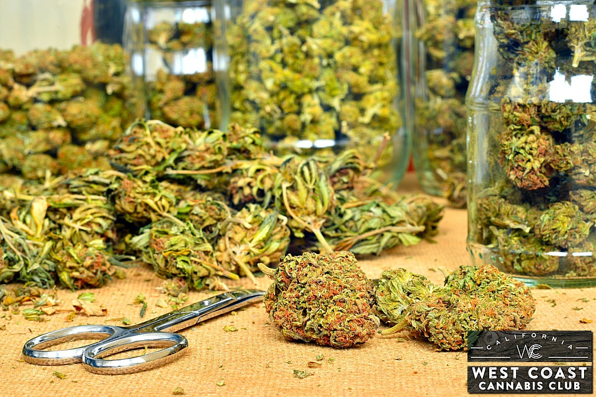 Why Should You Consider Medical Marijuana Dispensaries in Palm Springs?