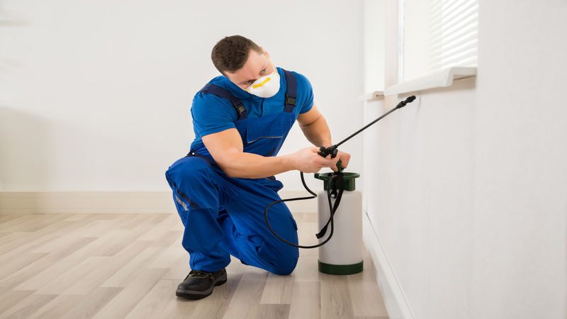 Why Using Commercial Disinfectant in Canberra Has Serious Benefits