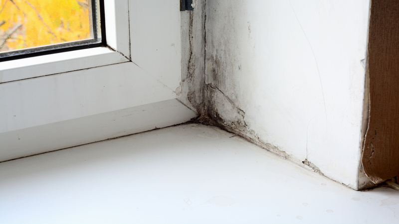 Learn the Steps Involved in Commercial Water Damage Restoration