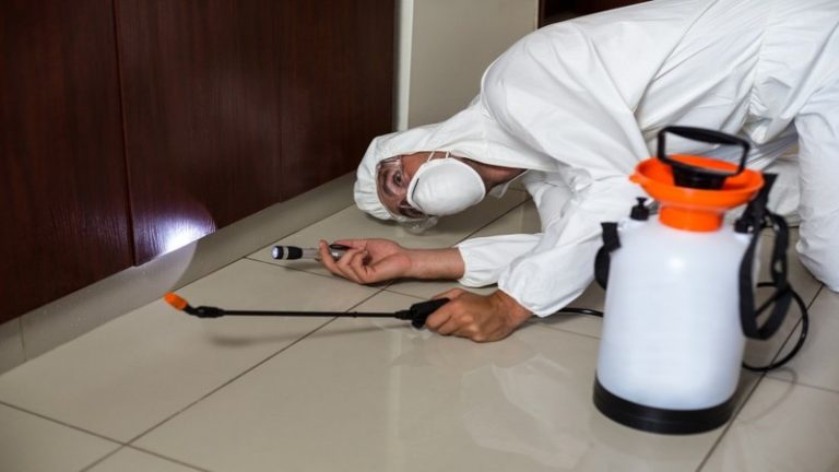 3 Reasons To Use A Disinfection Service For Offices