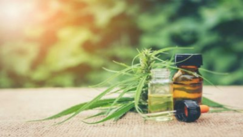 Consider Buying CBD Wholesale for Your Small Business
