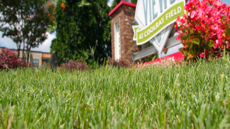 A Landscape Designer in San Francisco Bay Area Can Increase the Value and Prestige of Your Home