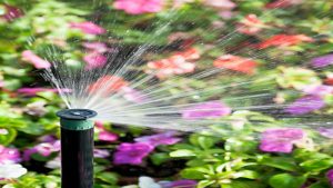 Tips on Finding the Right Pool Builders in Frisco, Texas