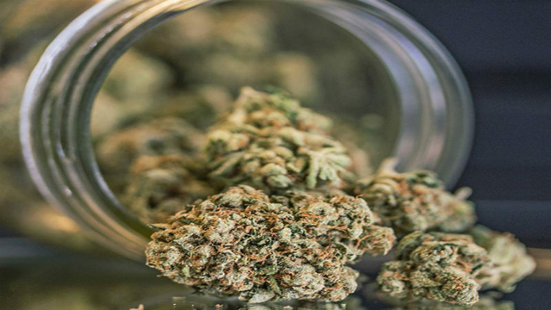 Why Everyone Should Get Recreational Marijuana from a Big Rapids