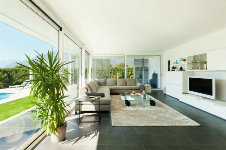 Why You Need Tropical Indoor Plants for Your Business in Miami