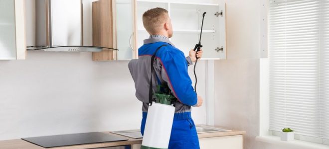 Running a Restaurant in Australia: Do You Need Disinfection Services?