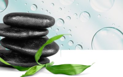 Experience Holistic Medicine in Jacksonville FL for Mind and Body Harmony