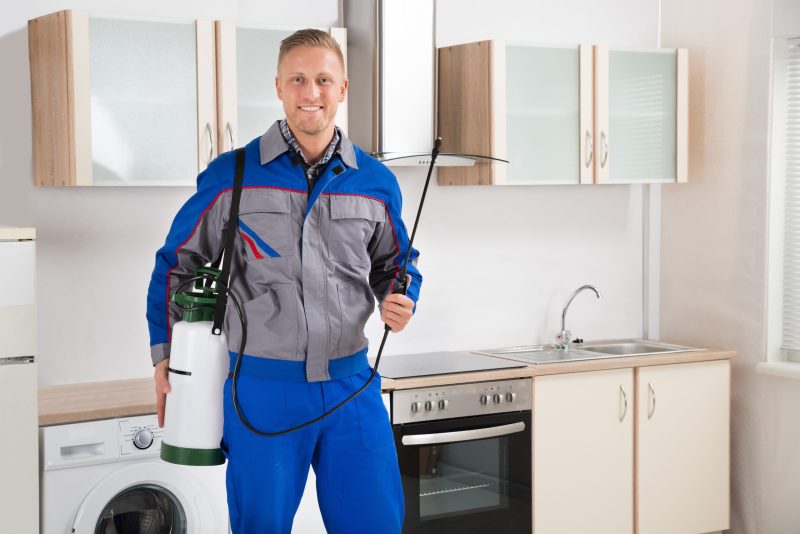 Safeguard Your Property with Expert Pest Control NJ Strategies