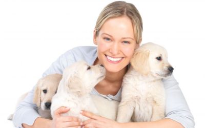 Find Peace Of Mind With Dog Boarding In NYC For Your Pets While You Travel Stress Free