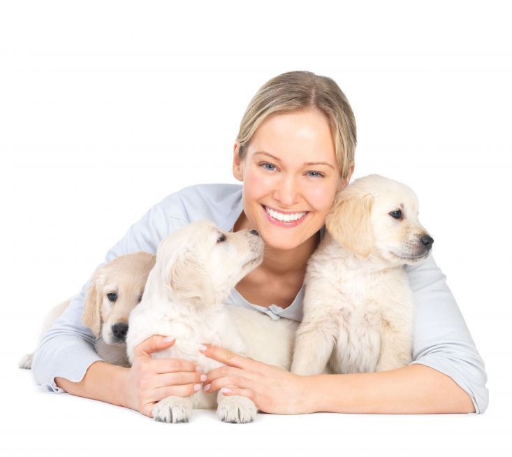 Find Peace Of Mind With Dog Boarding In NYC For Your Pets While You Travel Stress Free