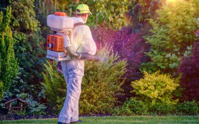 Achieve a Healthier Lawn with a lawn care company mt. washington ky Today