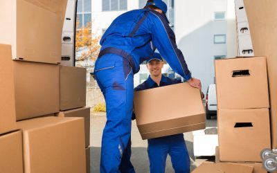 Save Time and Reduce Downtime With Office Movers Gibsonia PA Services